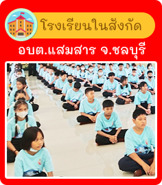 องค์การบริหารส่วนตำบลแสมสาร ( อบต.แสมสาร ) 