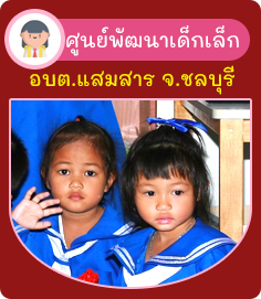 องค์การบริหารส่วนตำบลแสมสาร ( อบต.แสมสาร ) 