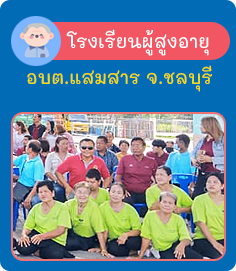 องค์การบริหารส่วนตำบลแสมสาร ( อบต.แสมสาร ) 